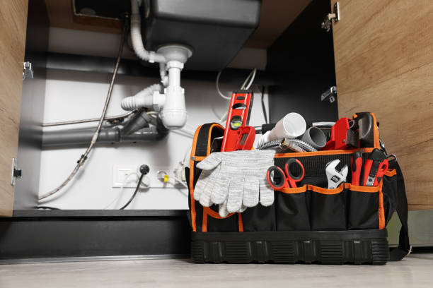 Best Commercial Plumbing Services  in Oak View, CA